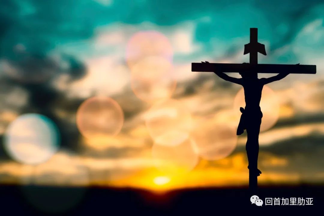 Lent - 这是40天的节庆